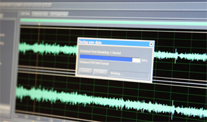 Audio transfer services